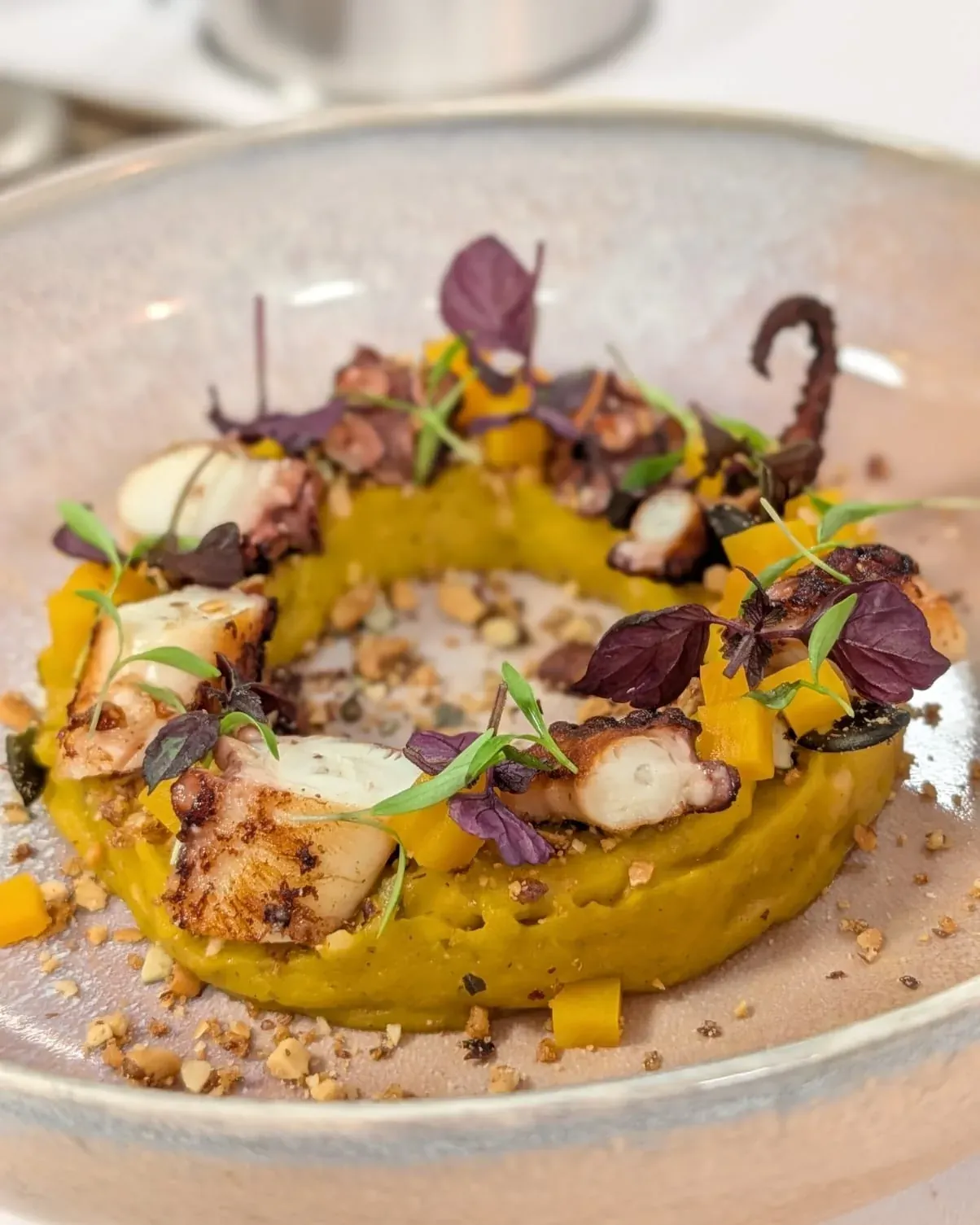 Grilled octopus, squash purée, butternut and hazelnuts