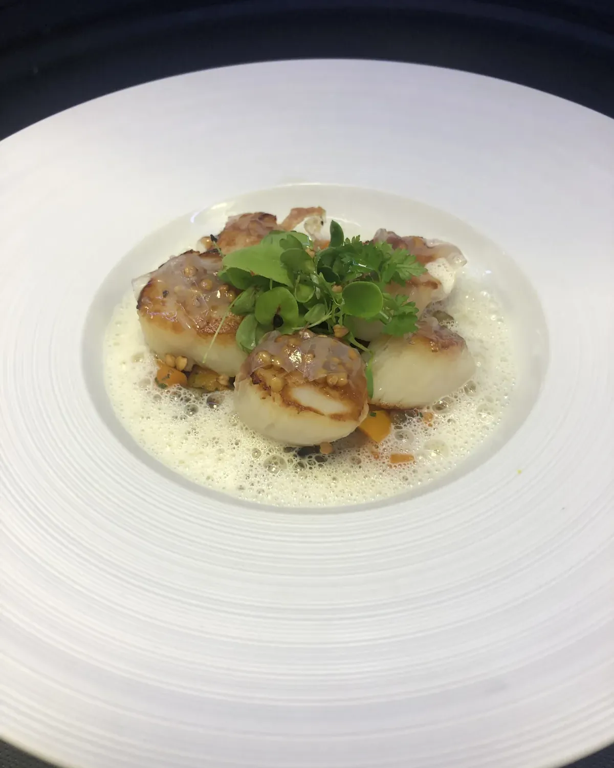 Seared scallops, emulsion and micro herbs