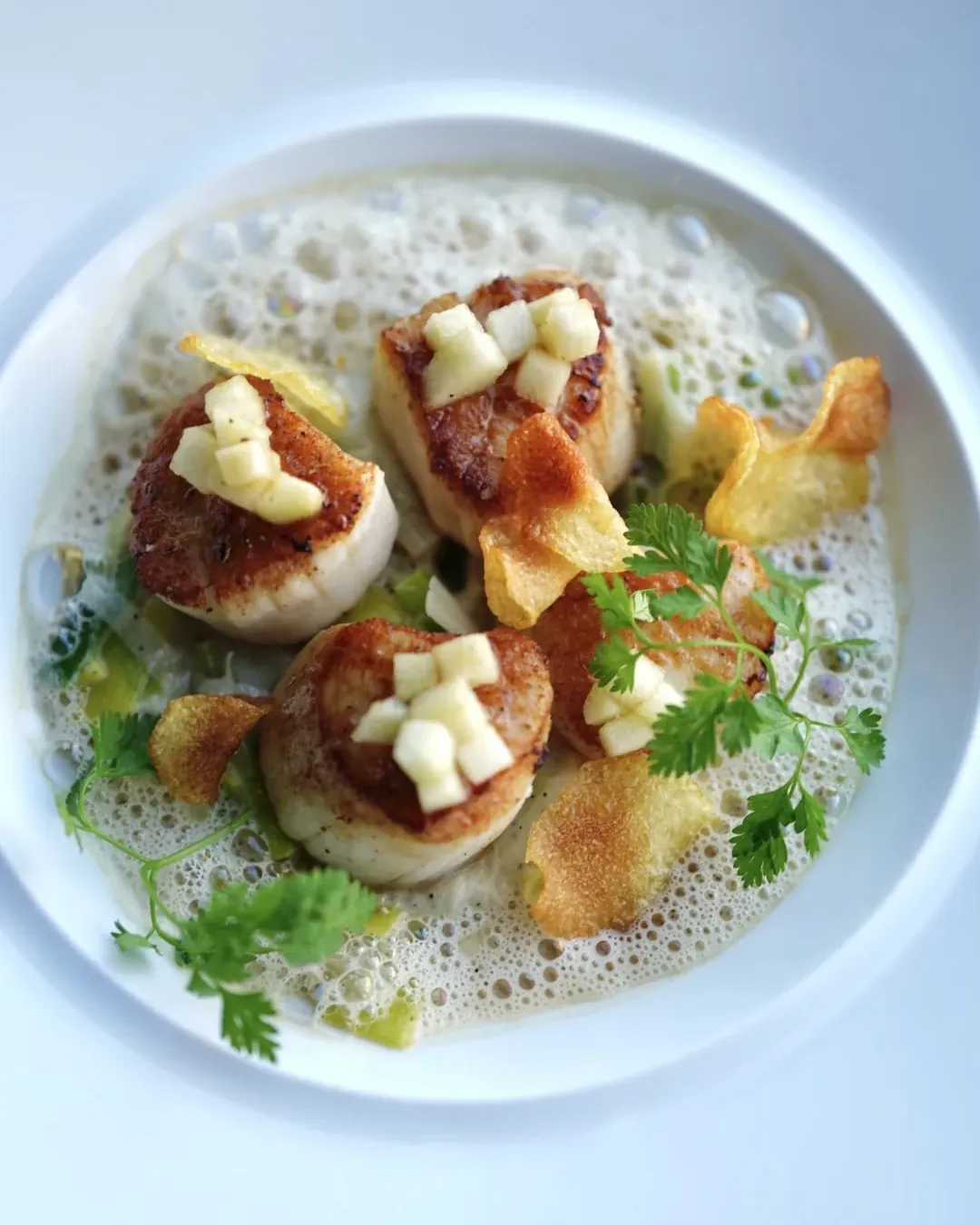 Seared scallops, diced apple and emulsion
