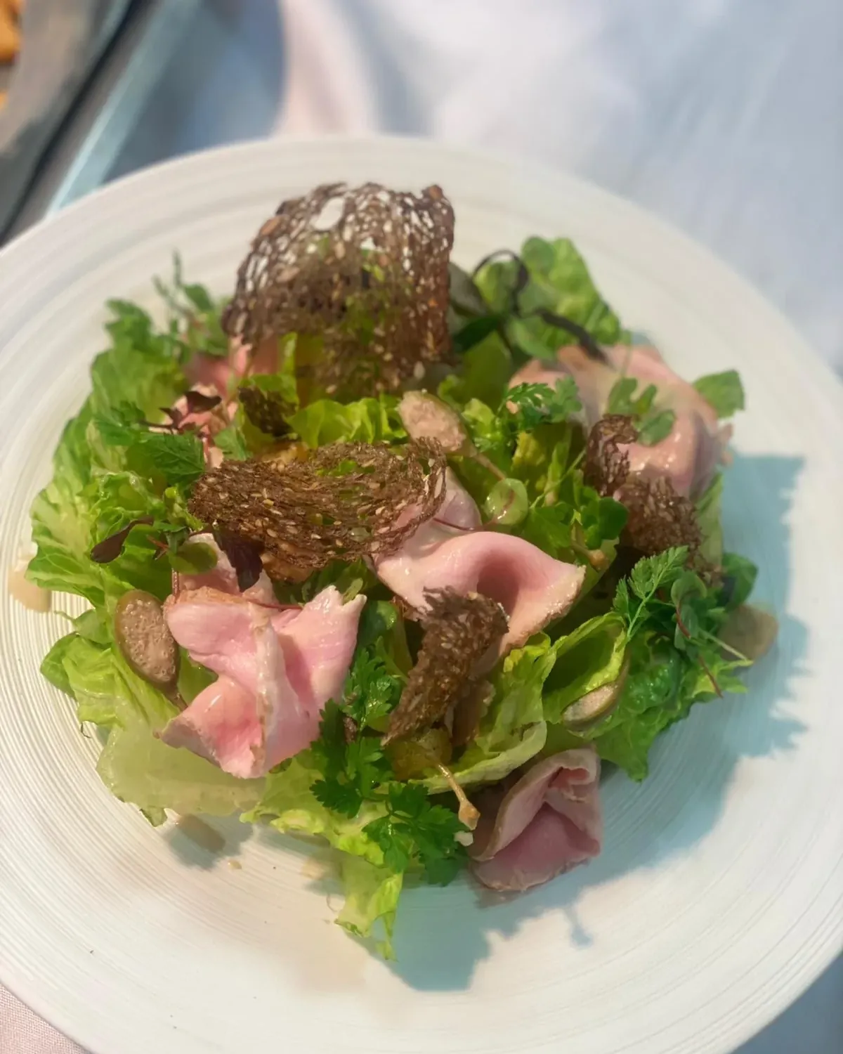 Seasonal salad, pink-cooked meat and seeded tuiles