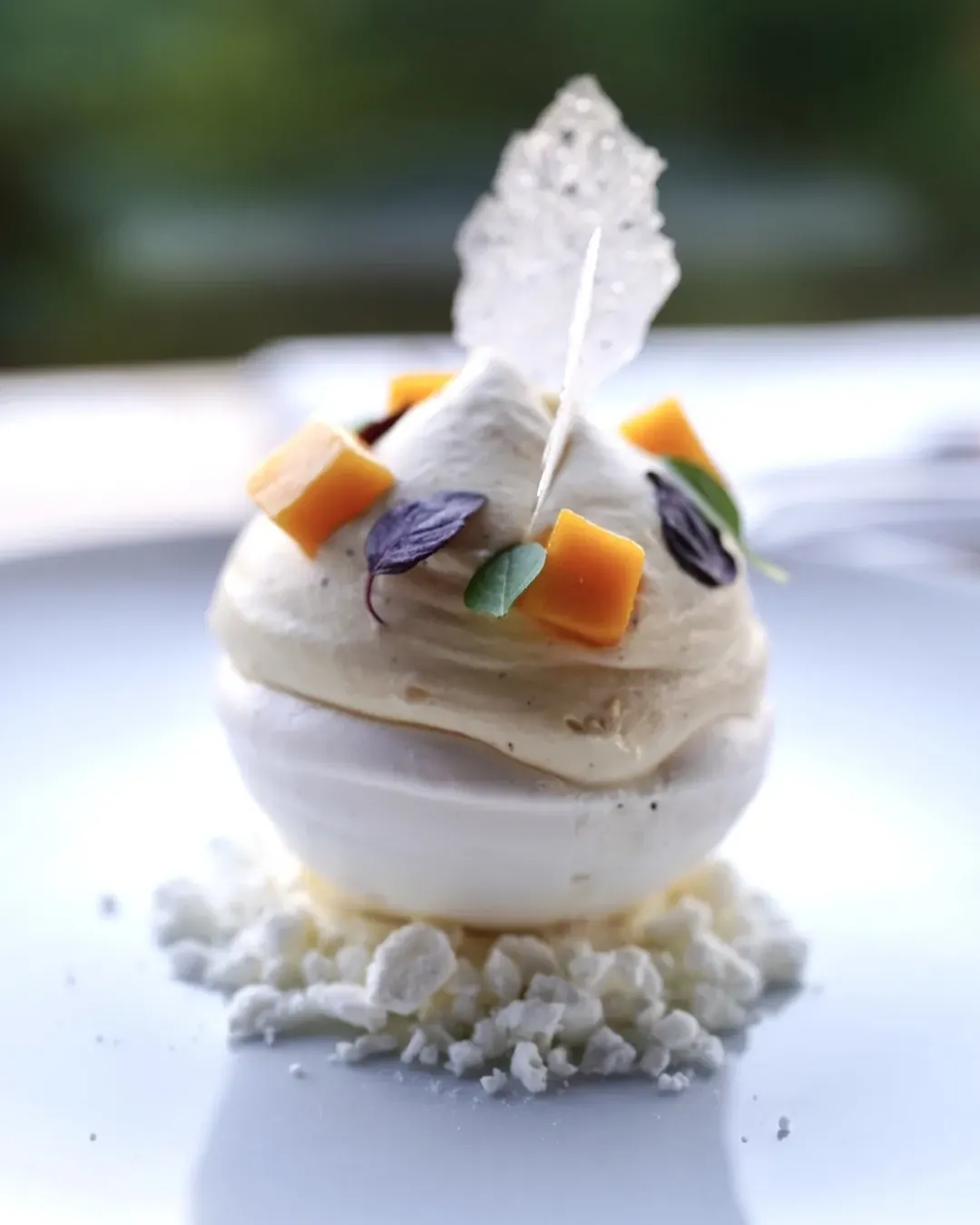 Vanilla vacherin, mango and sugar tuile